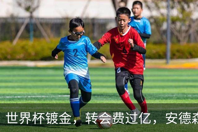 世界杯镀金，转会费过亿，安德森逆袭了，但能替代罗德里吗